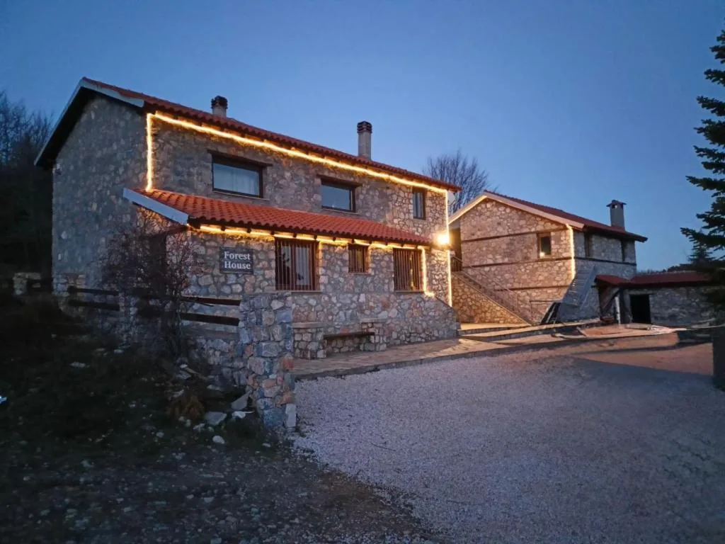 Forest House